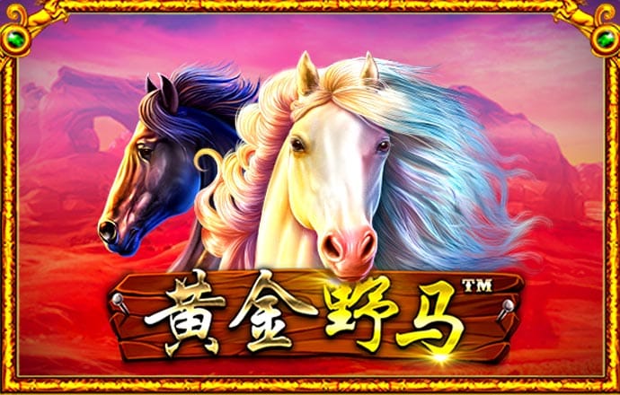 925体育直播app下载